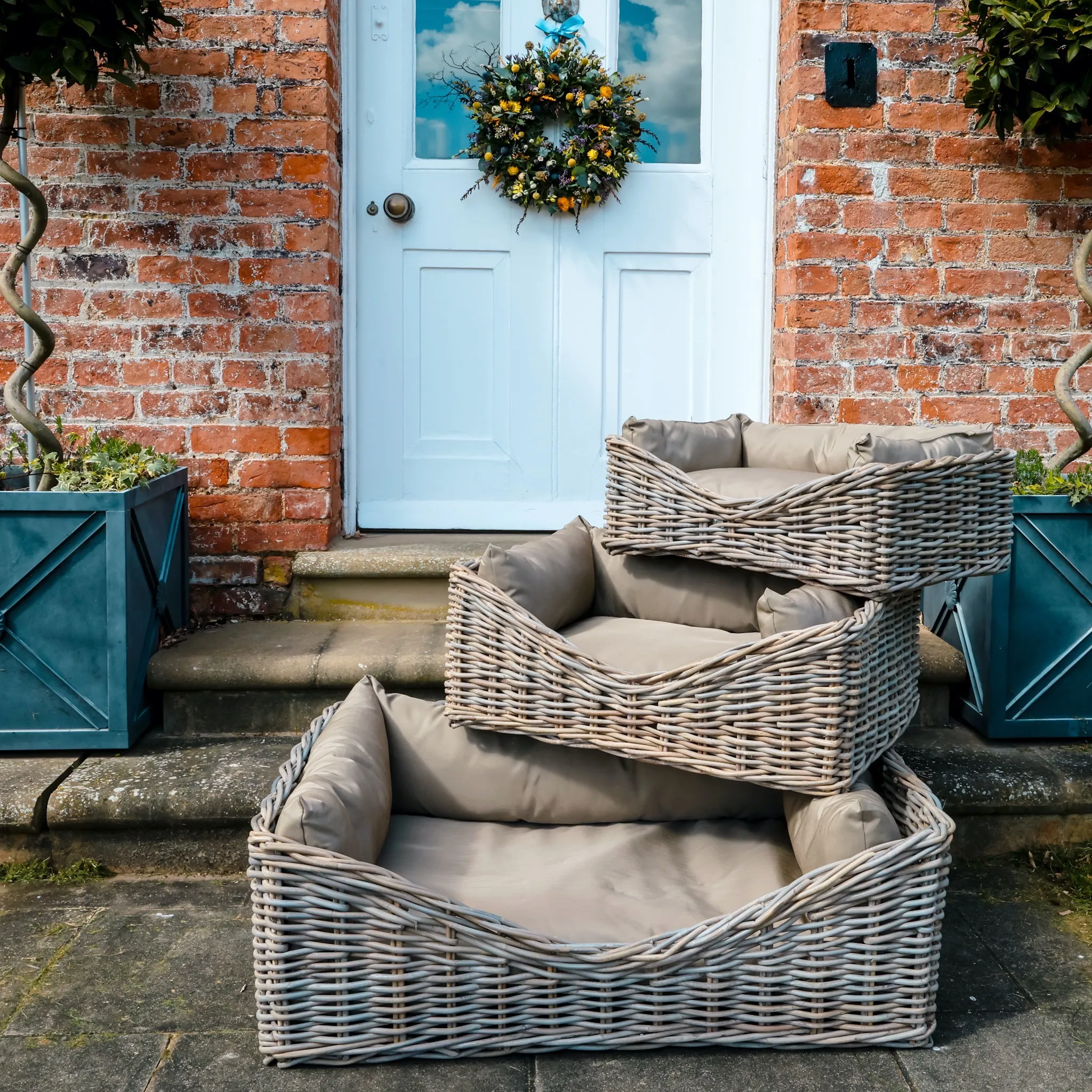 Carrington Home - All 3 Dog Beds