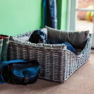 Natural Rattan Dog Bed (Various Sizes)