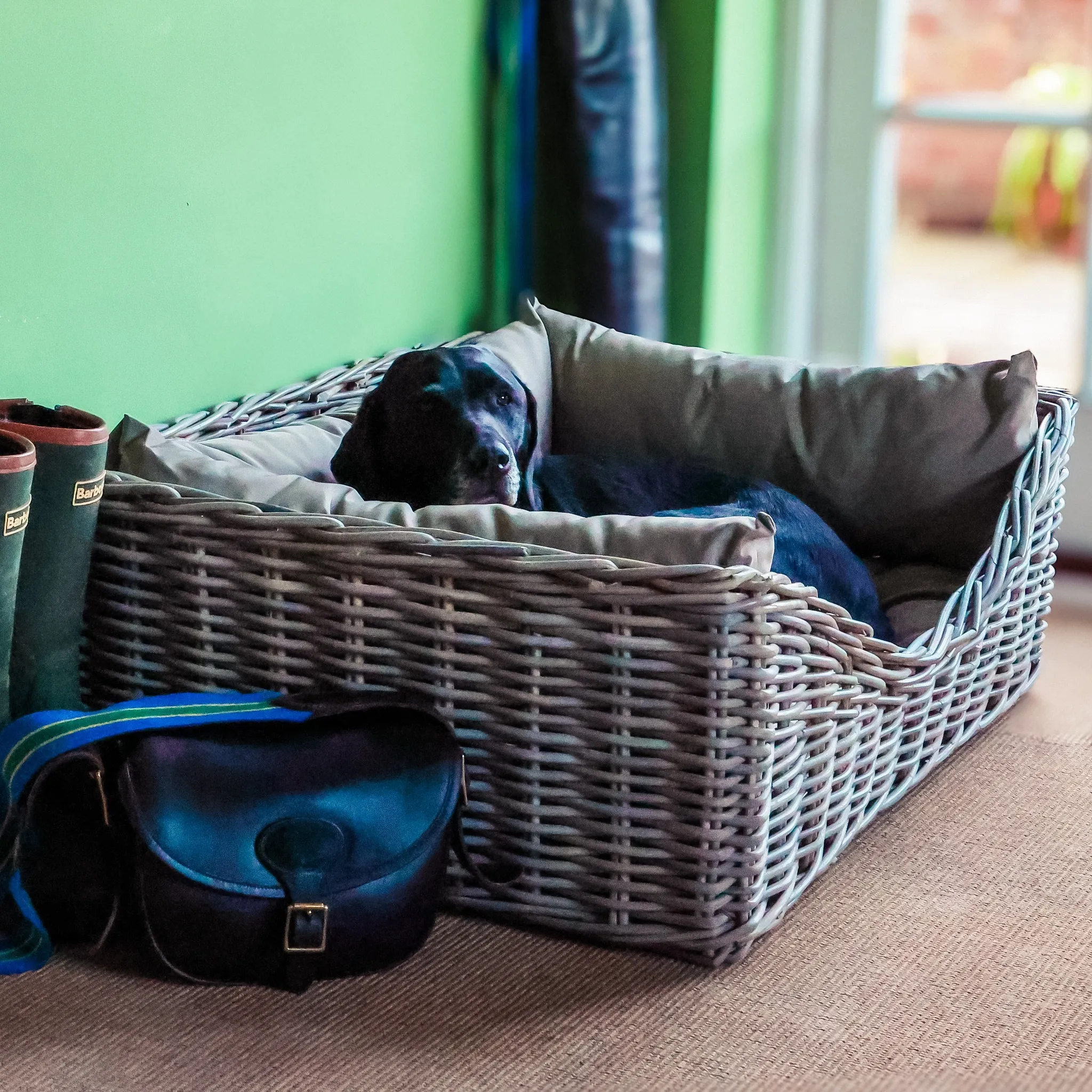 Carrington Home - large dog bed Doodle